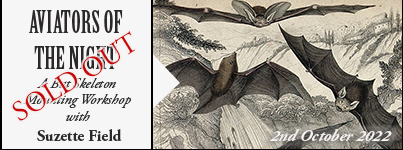 Aviators of the Night