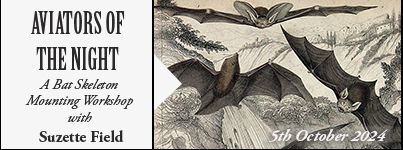 A Guided Tour of Brompton Cemetery