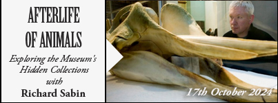 Burial Rites of Roman London