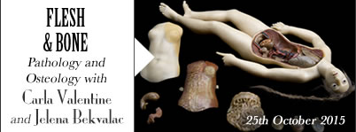 Pathology and Osteology