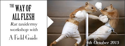 The Way of All Flesh