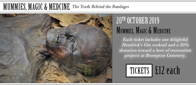 Mummies Magic and Medicine