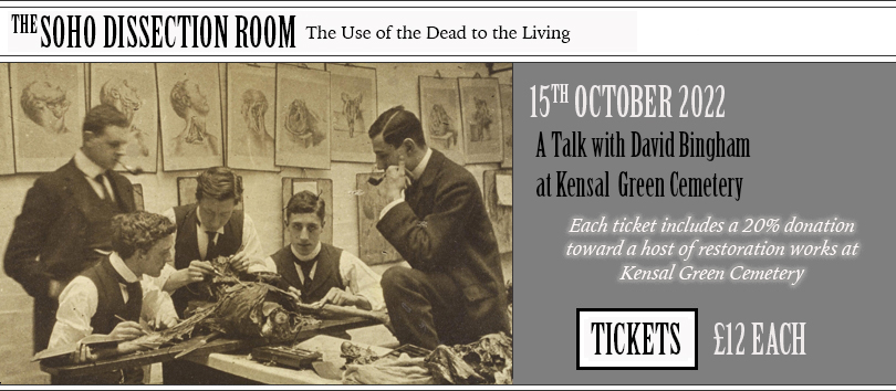 The Soho Dissection Room